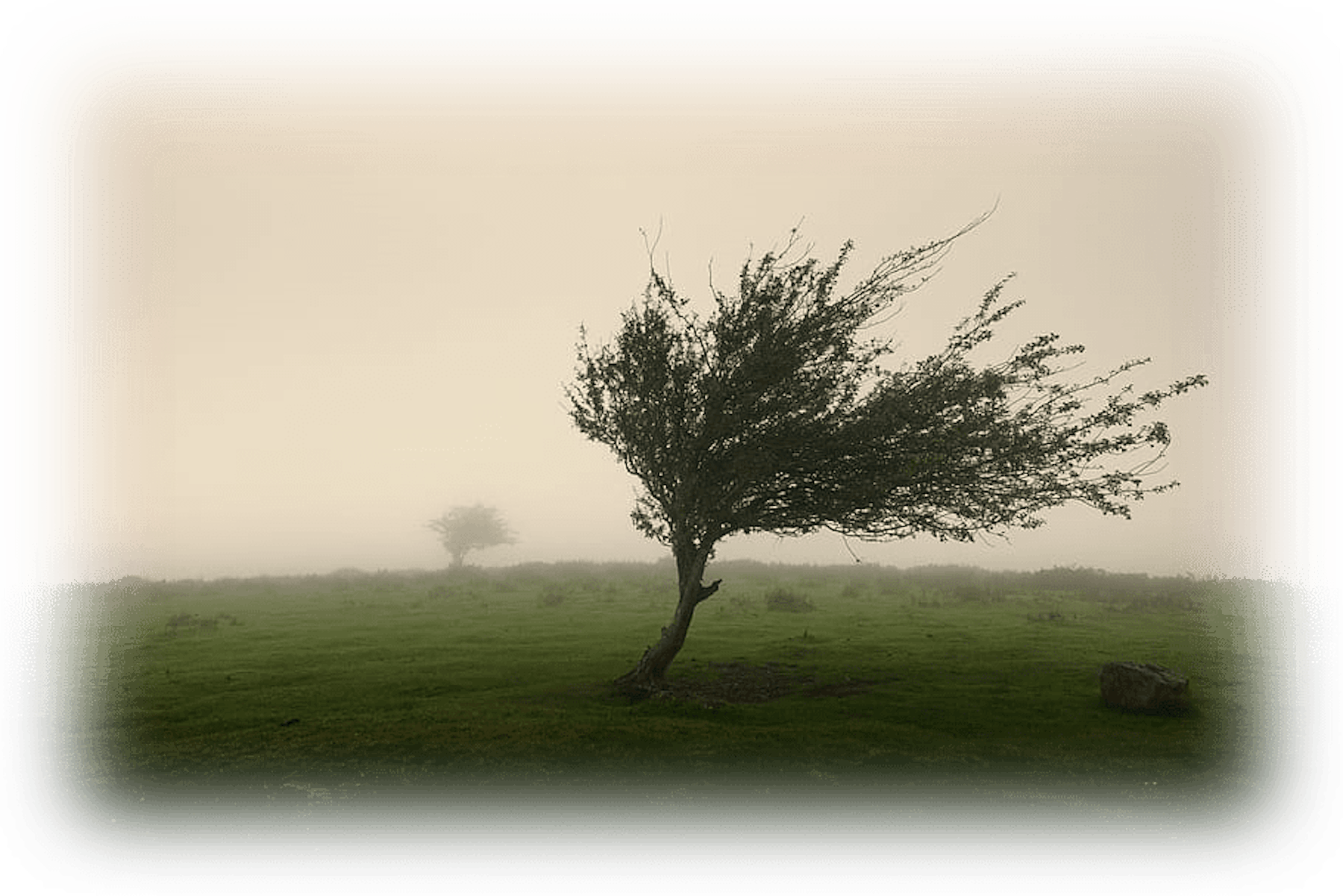 John Galt Solutions - Supply Chain Management Software